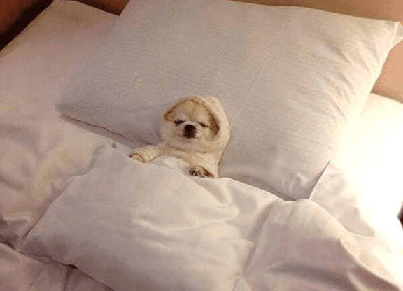 Passe prioritário para o quarto de visitas.